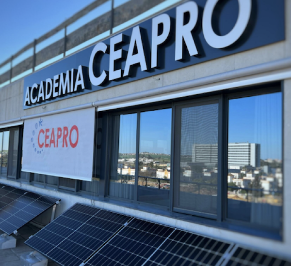 Captura de pantalla 2025-05-25 a las 22.34.33